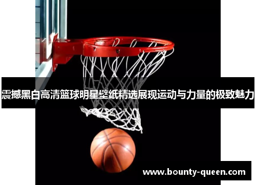 震撼黑白高清篮球明星壁纸精选展现运动与力量的极致魅力