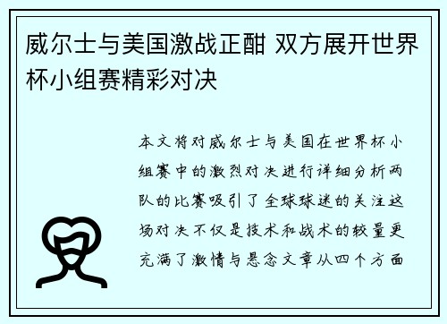 威尔士与美国激战正酣 双方展开世界杯小组赛精彩对决