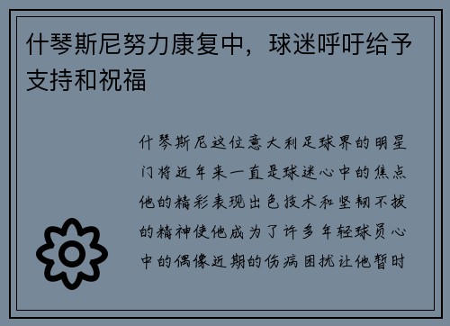 什琴斯尼努力康复中，球迷呼吁给予支持和祝福